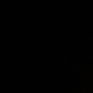 Meet your Posher, Greg